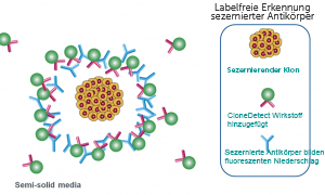 Label-free Detection of Secreted Antibody - ClonePix 2 System