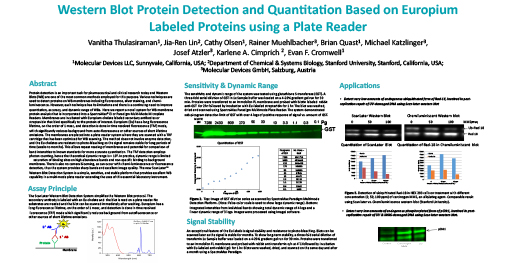 Protein Detection on Europium Labeled Proteins